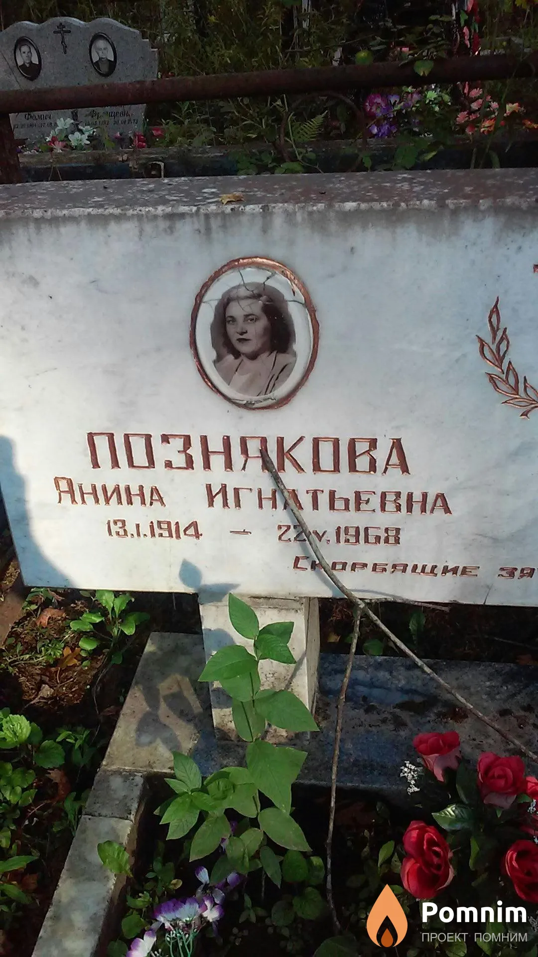 Познякова Янина Игнатьевна