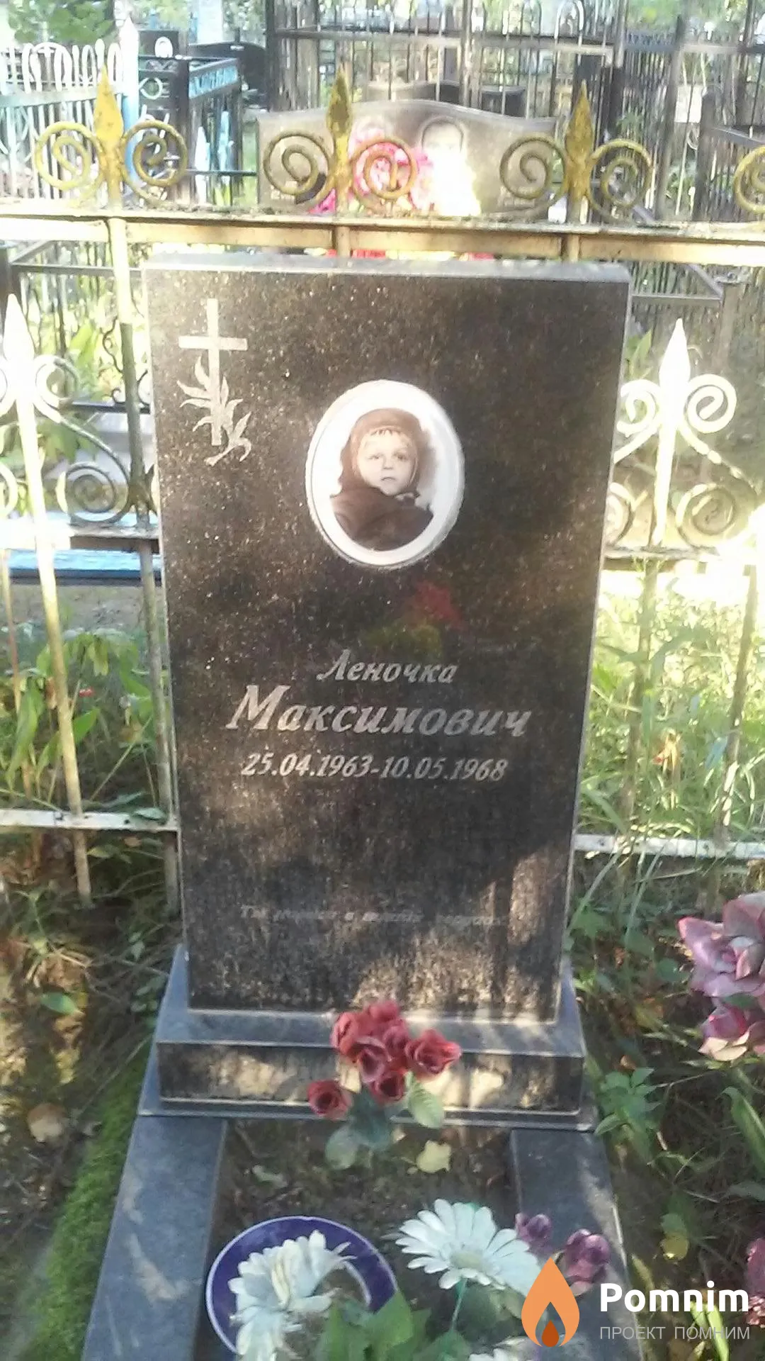 Максимович Леночка