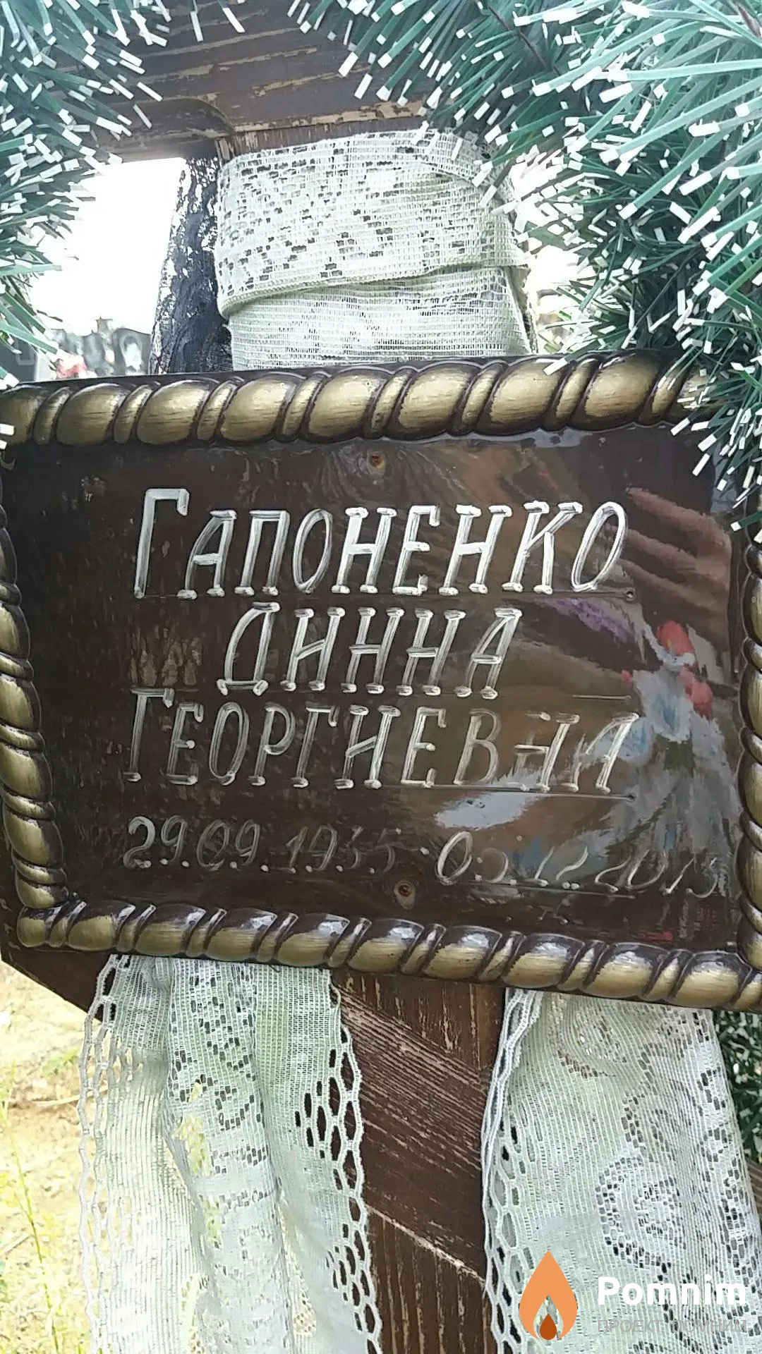 Гапоненко Динна Георгиевна