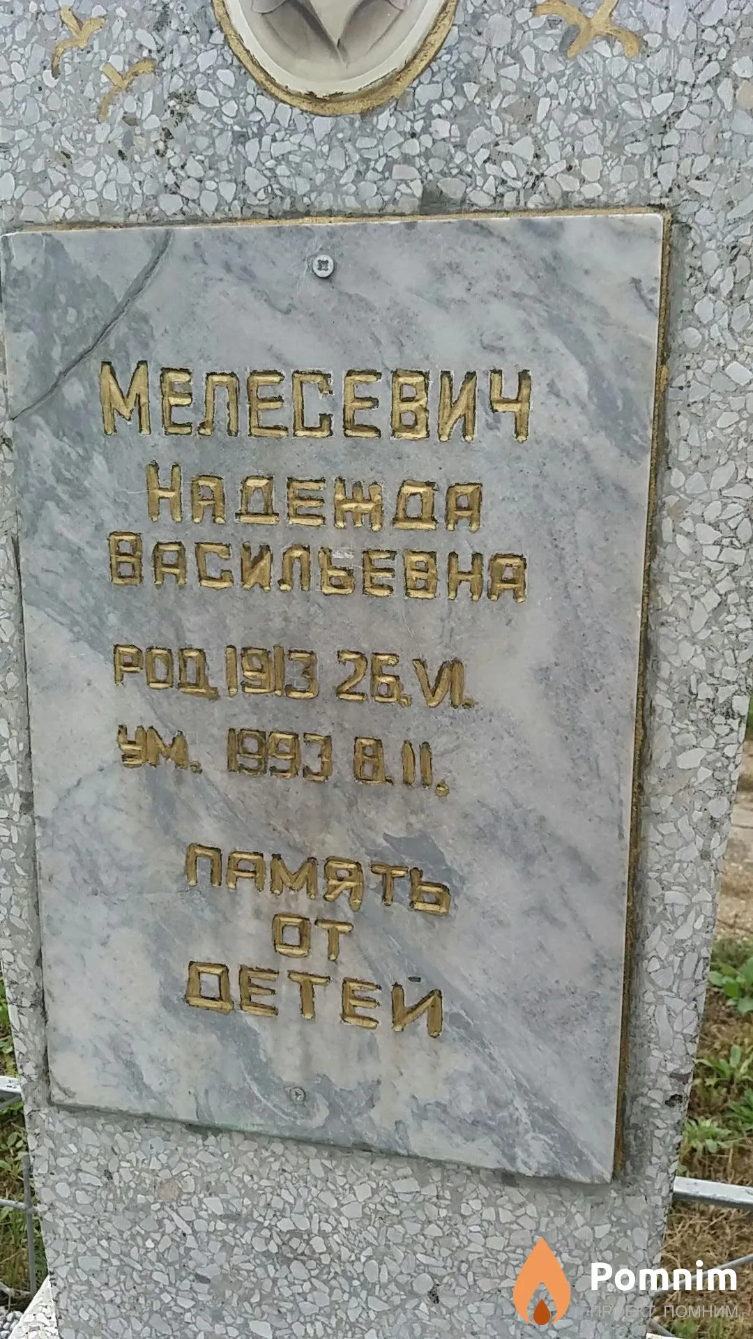 Мелесевич Надежда Васильевна