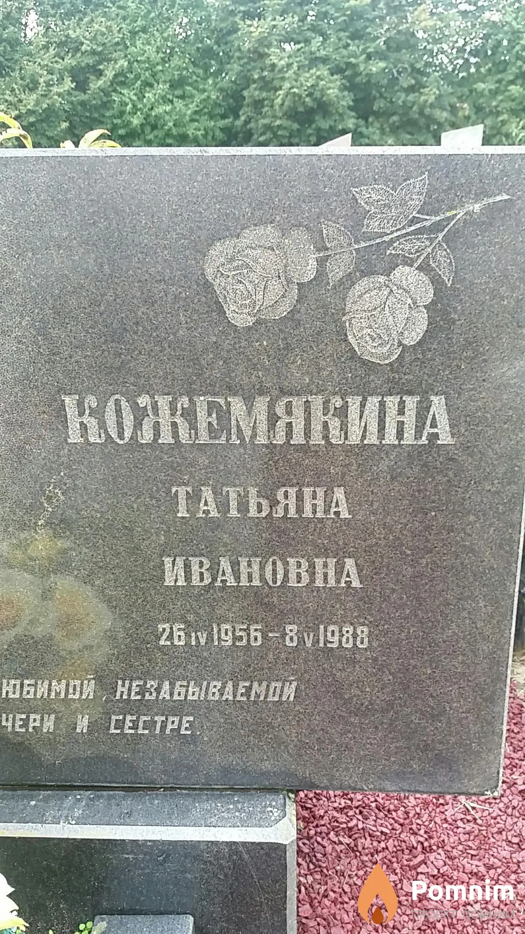 Кожемякина Татьяна Ивановна