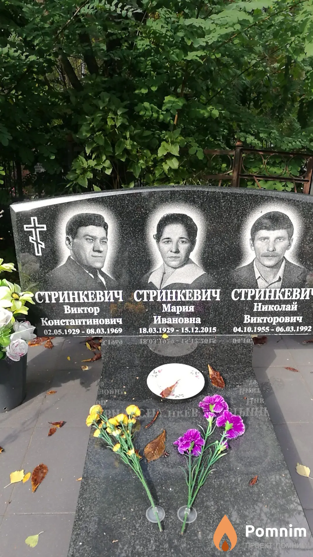 Стринкевич Николай Викторович