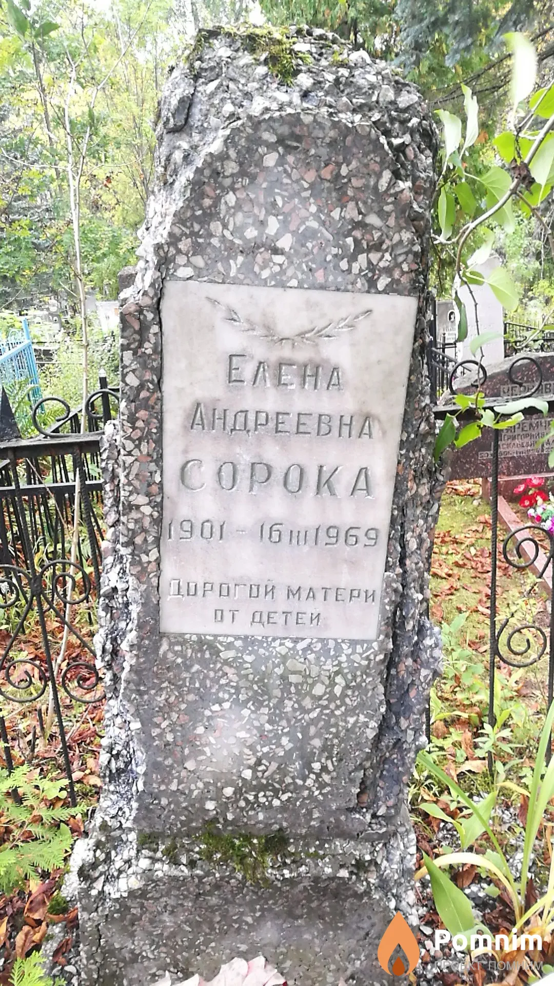 Сорока Елена Андреевна