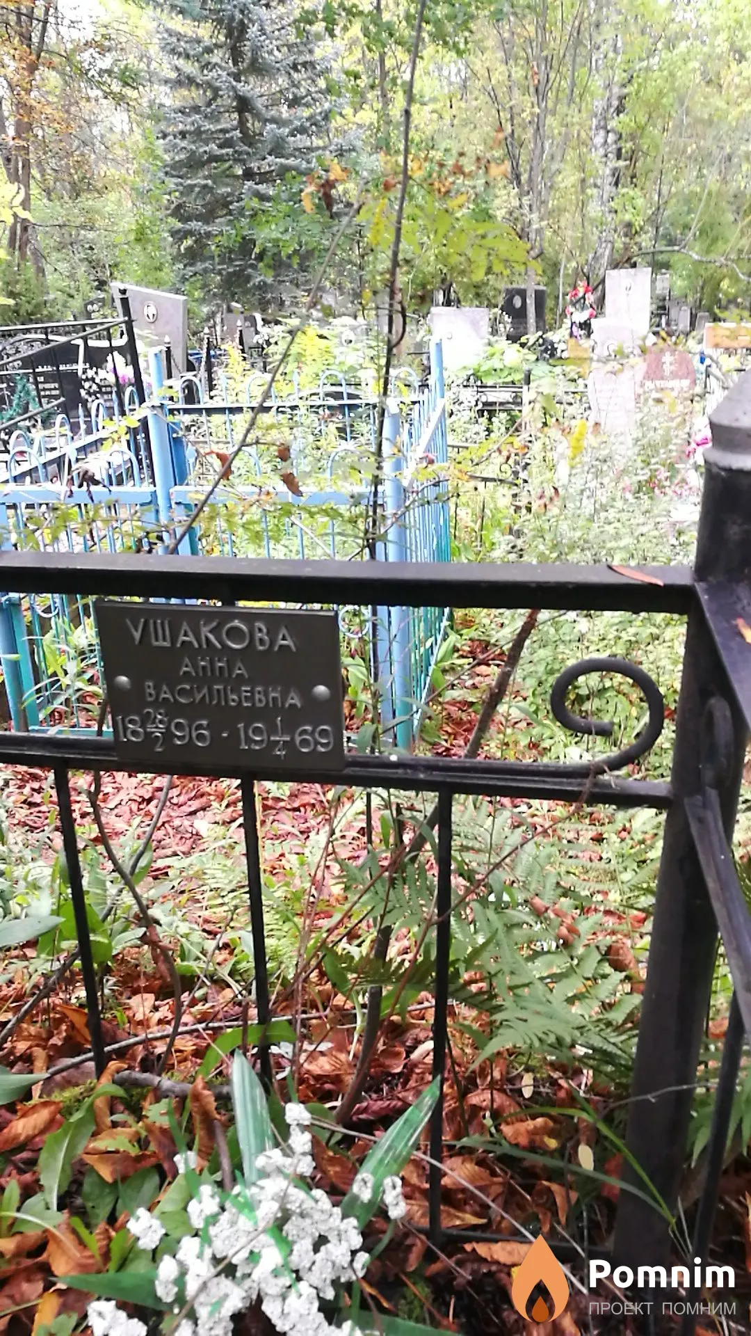 Ушакова Анна Васильевна