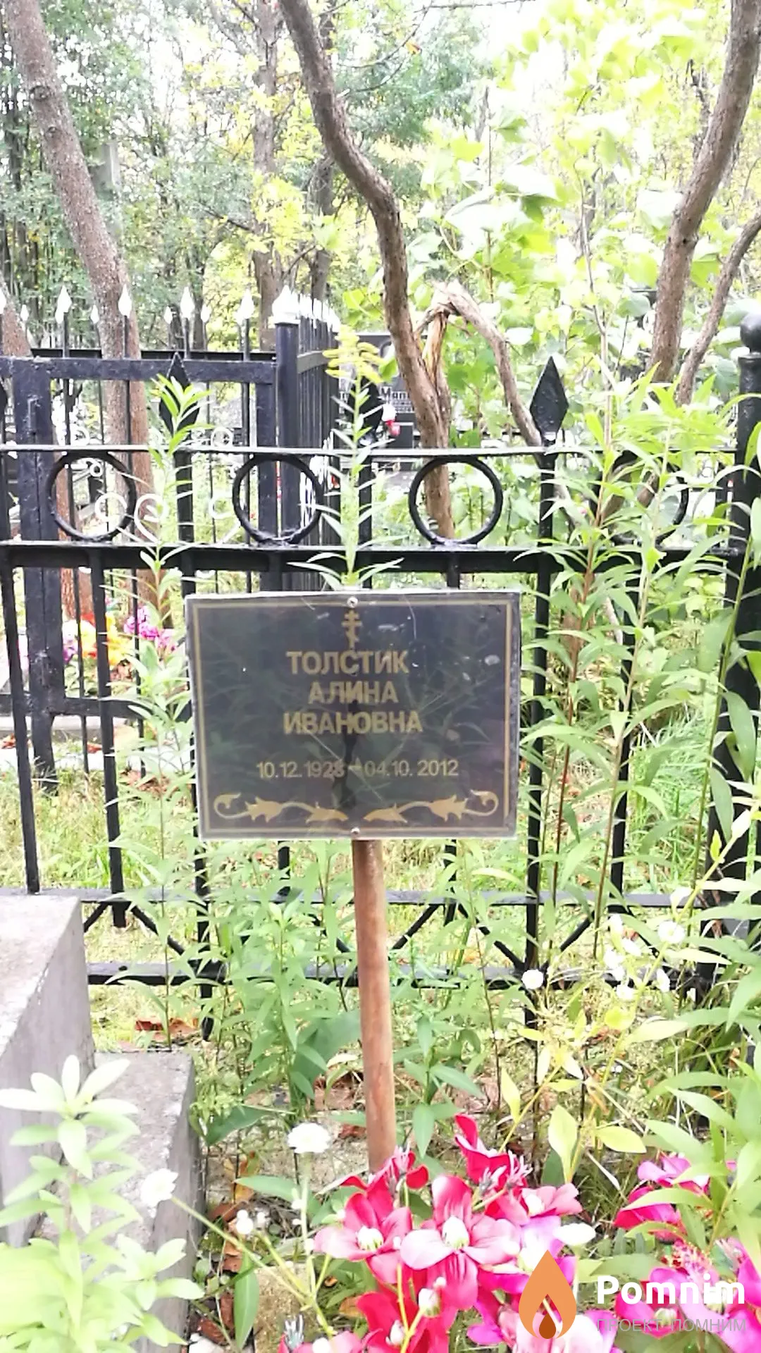 Толстик Алина Ивановна