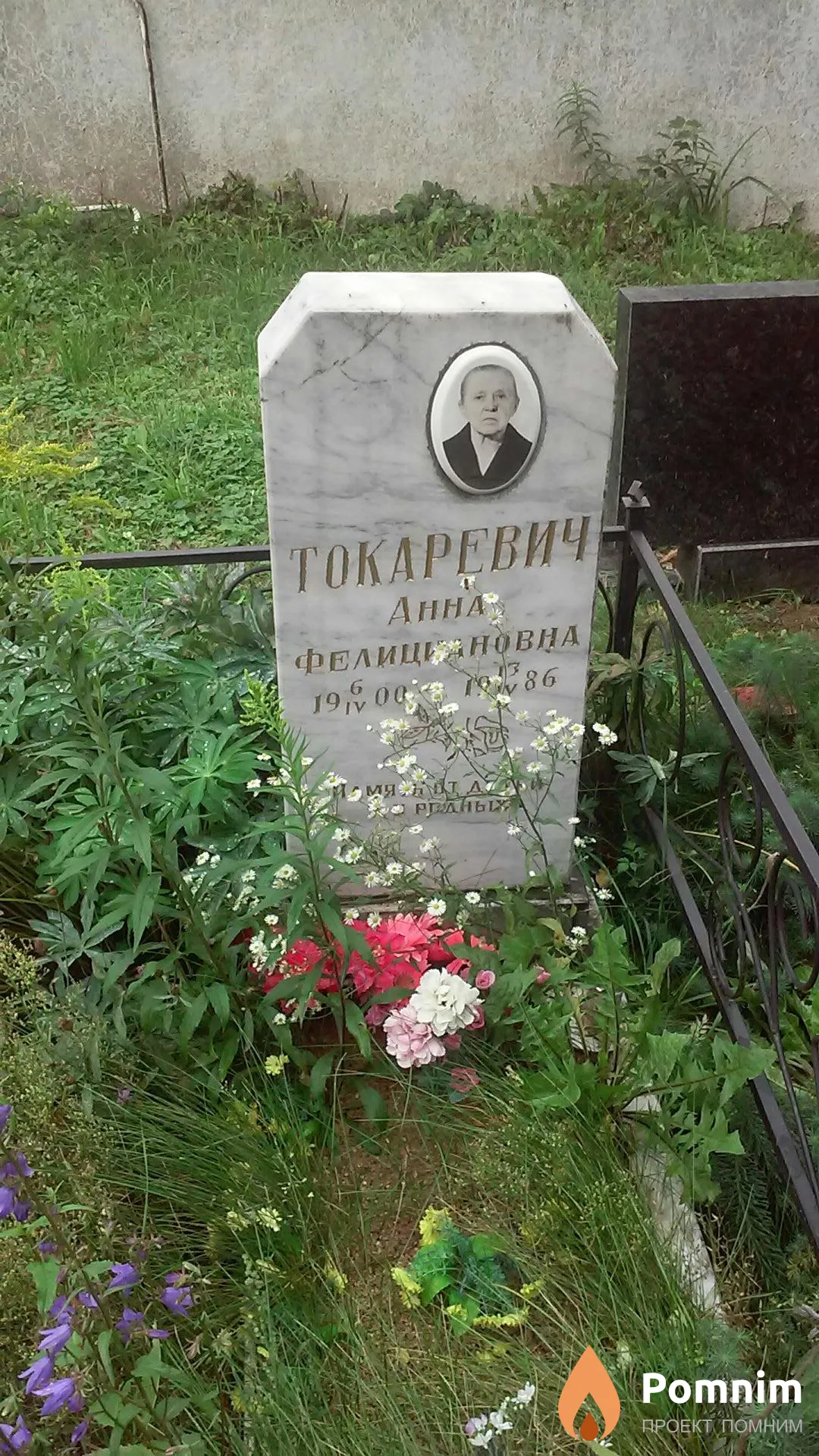 Токаревич Анна Филицинновна