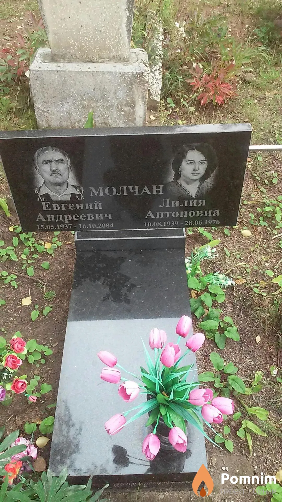 Молчан Евгений Андреевич