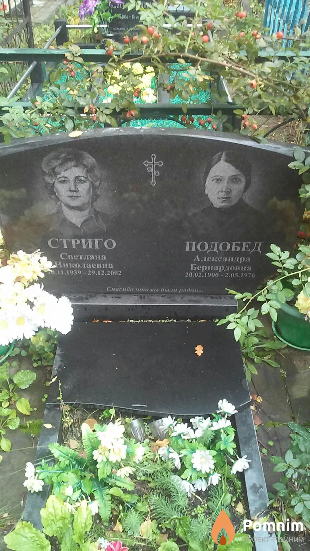 Стриго Светлана Николаевна