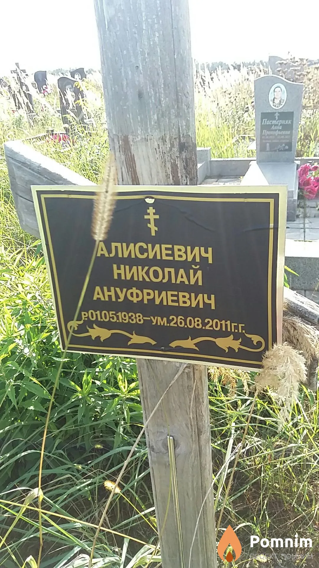Алисиевич Николай Ануфриевич