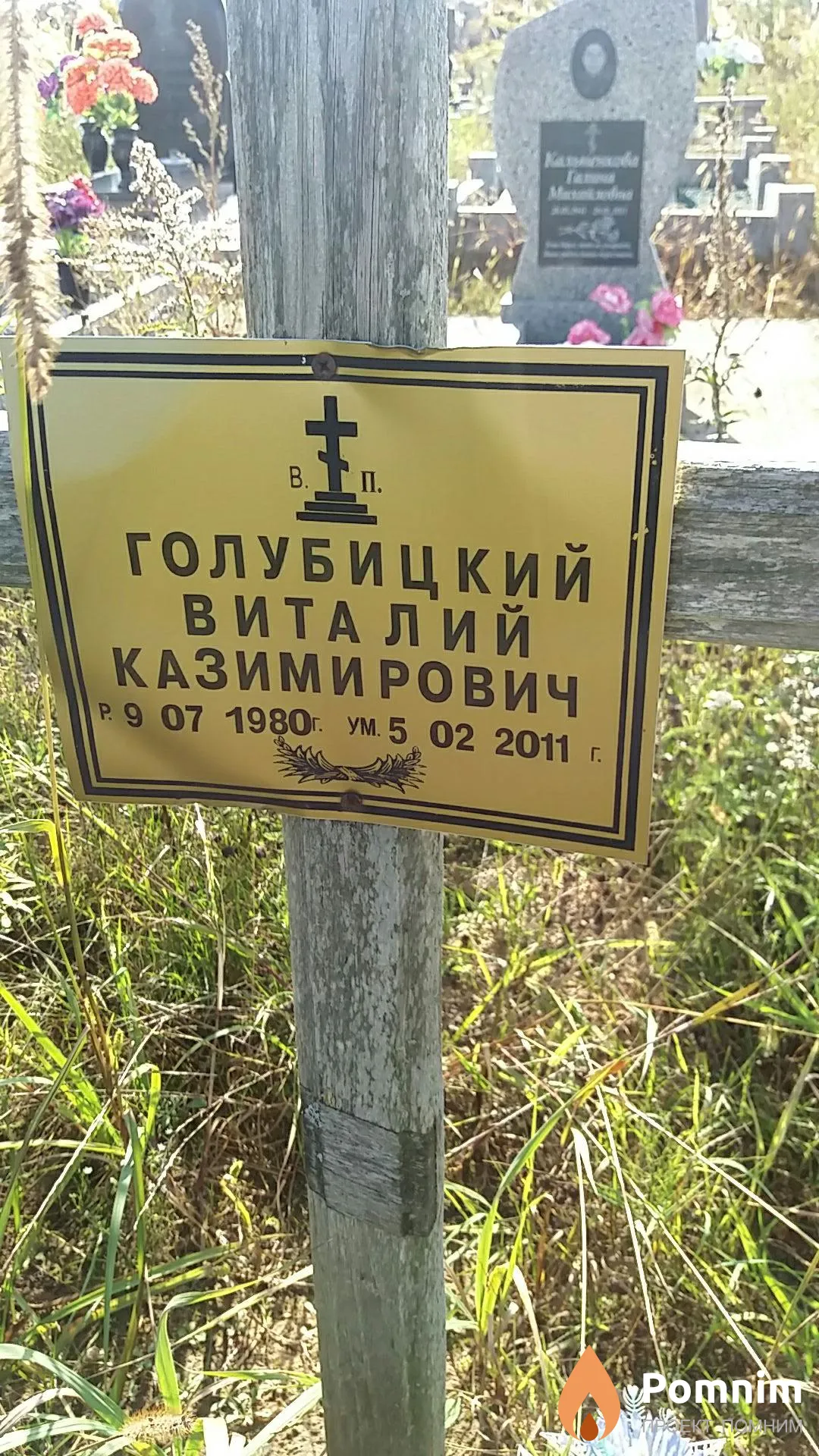 Голубицкий Виталий Казимирович