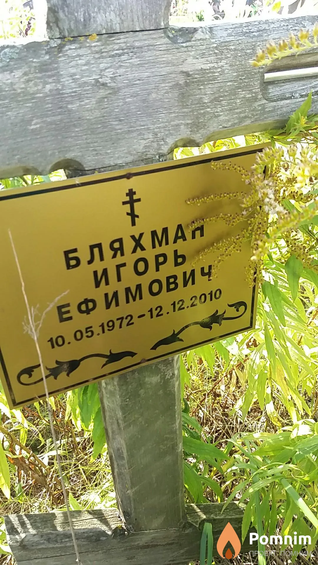 Бляхман Игорь Ефимович