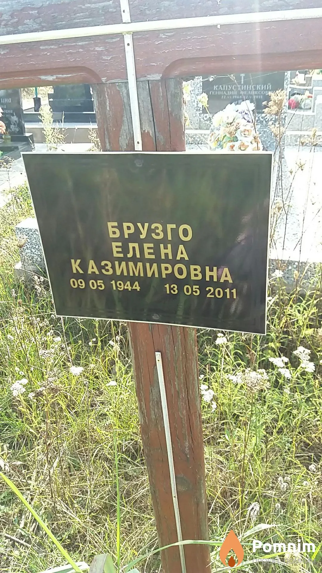 Брузго Елена Казимировна