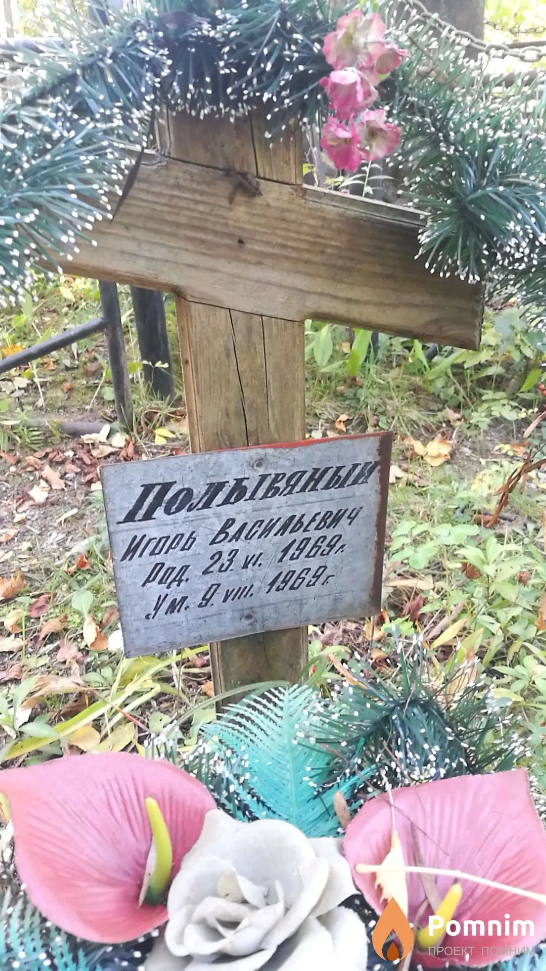 Полывяный Игорь Васильевич