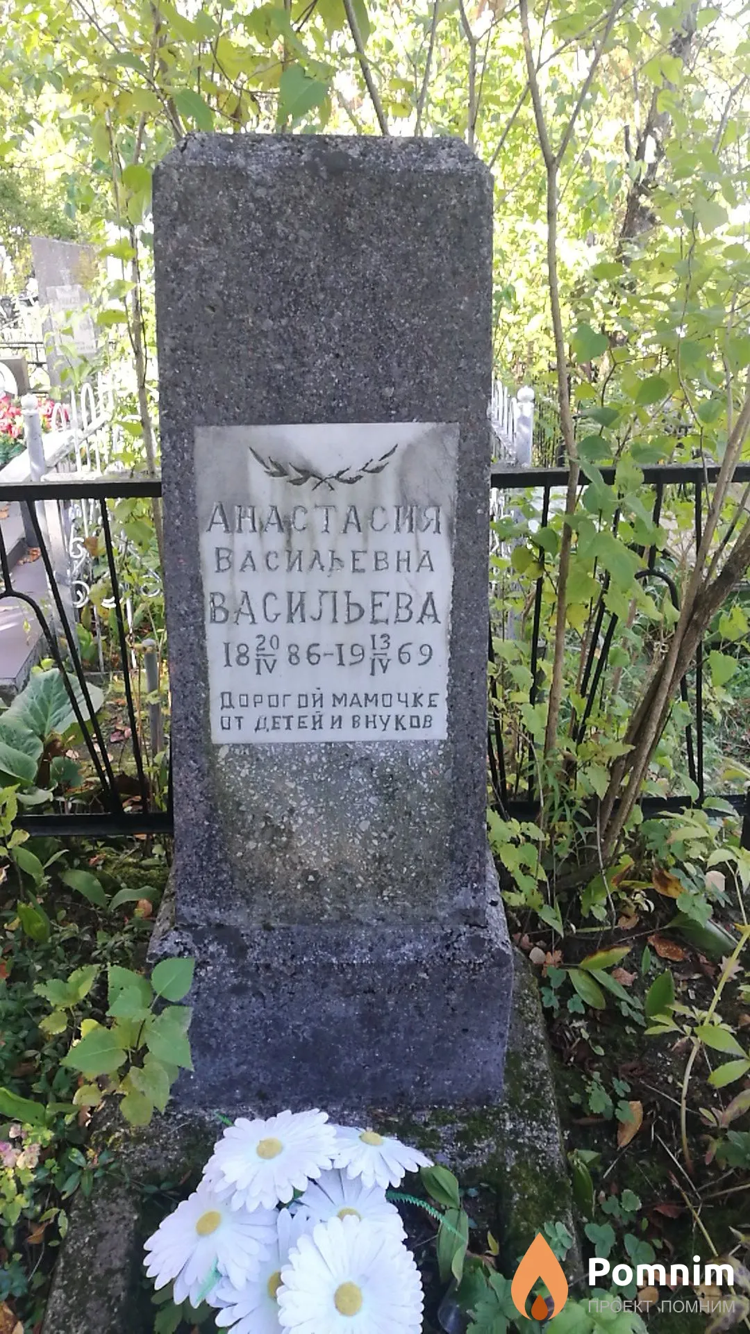 Васильева Анастасия Васильевна