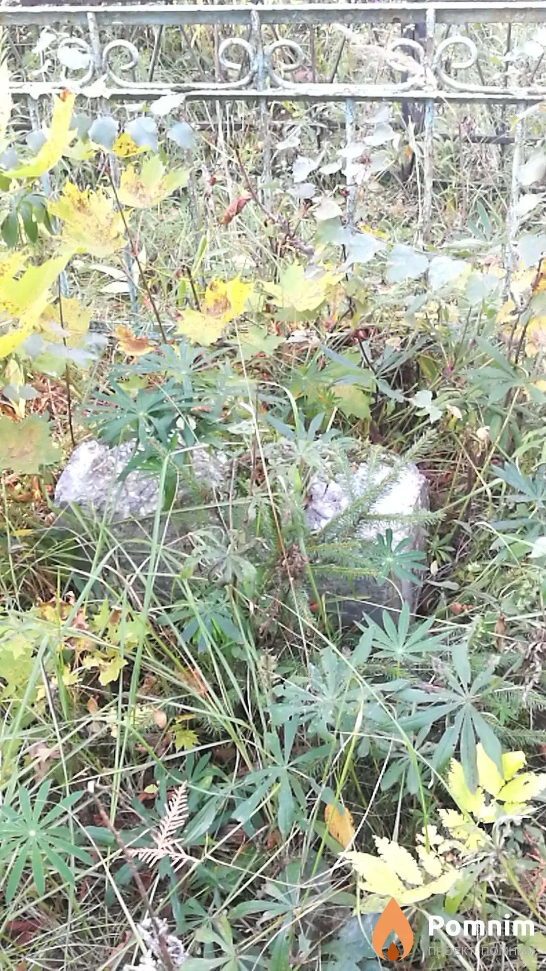 Неизвестный