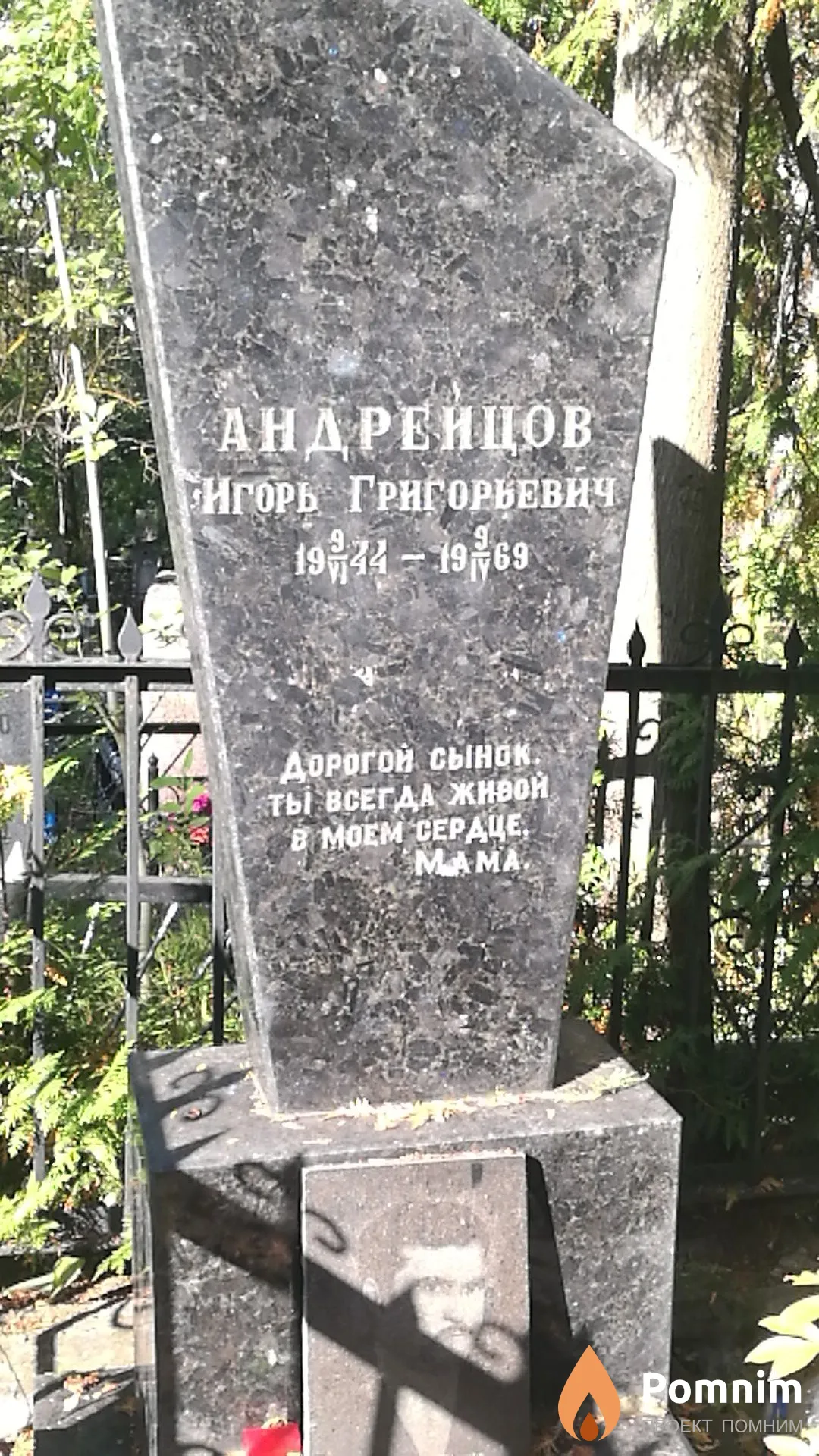 Андрейцов Игорь Григорьевич
