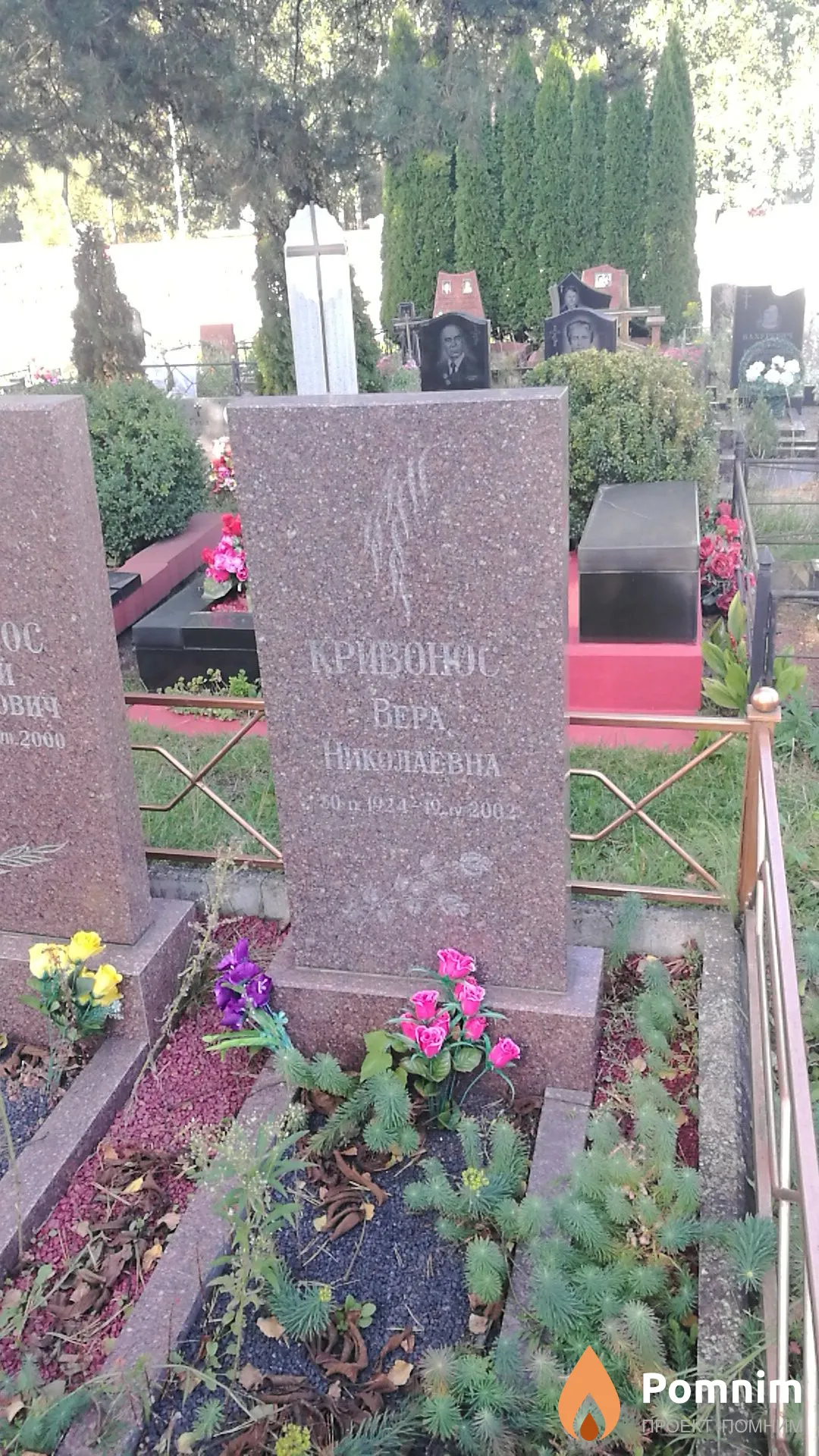 Кривонос Вера Николаевна