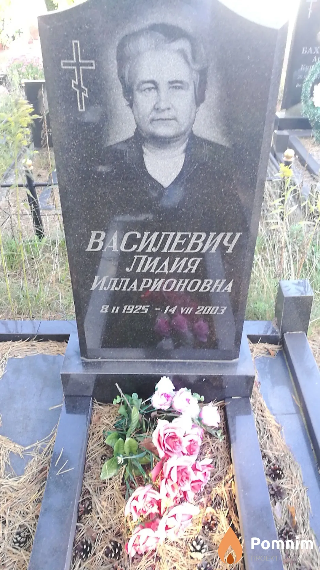 Василевич Лидия Илларионовна