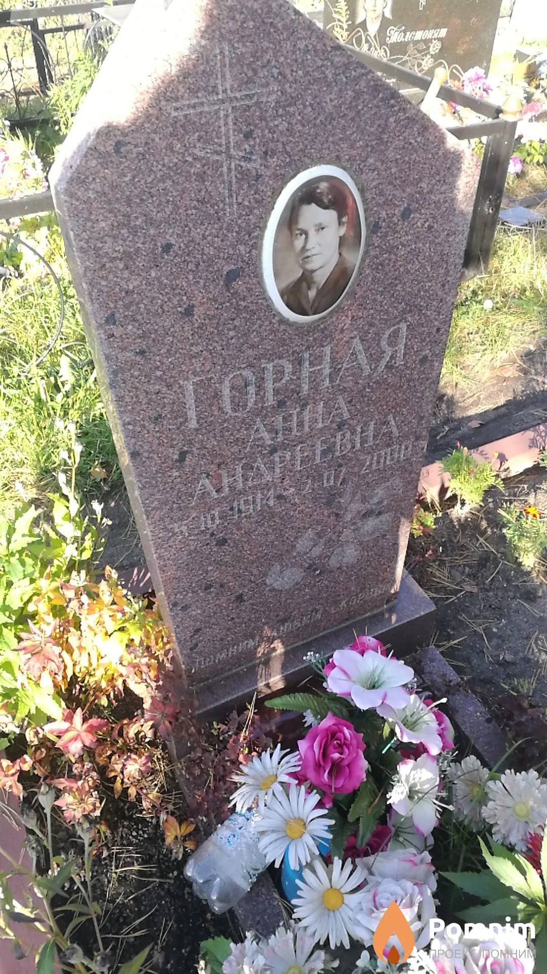 Горная Анна Андреевна