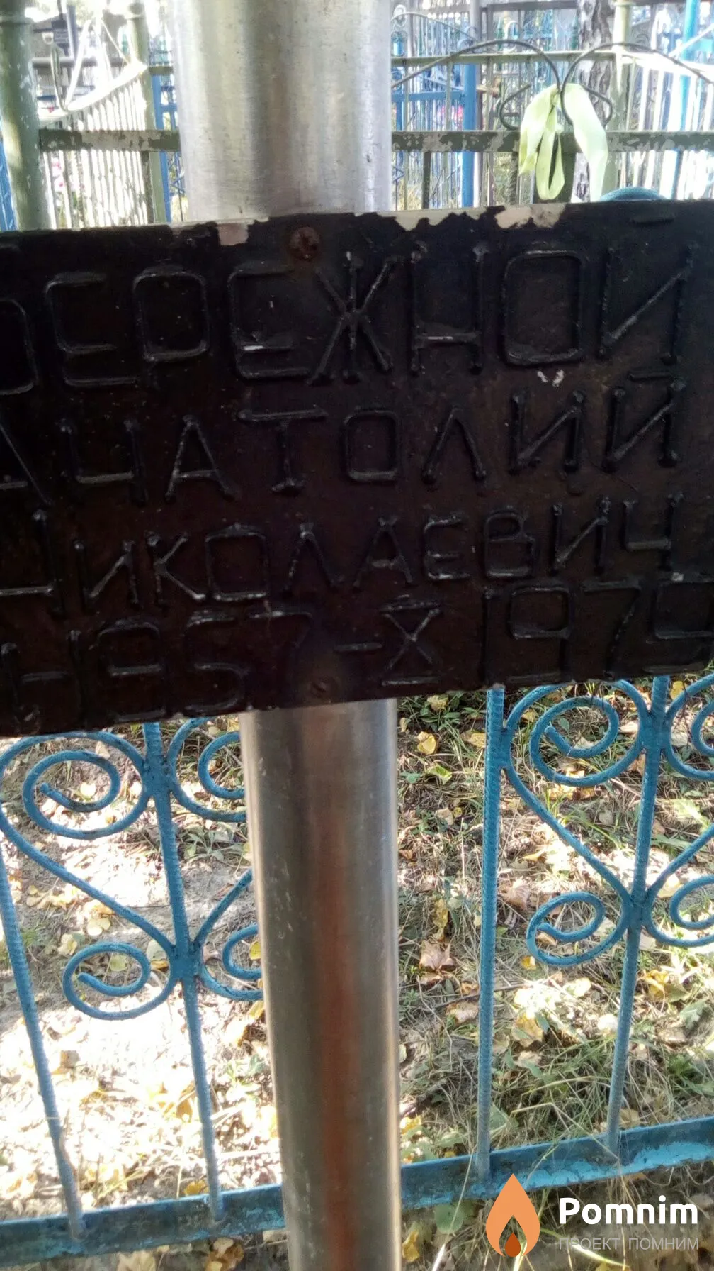 Бережной Анатолий Николаевич