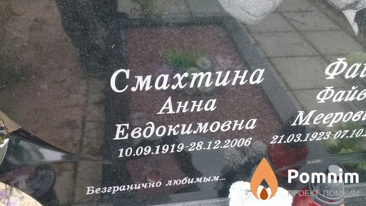 Файн Михаил Файвович