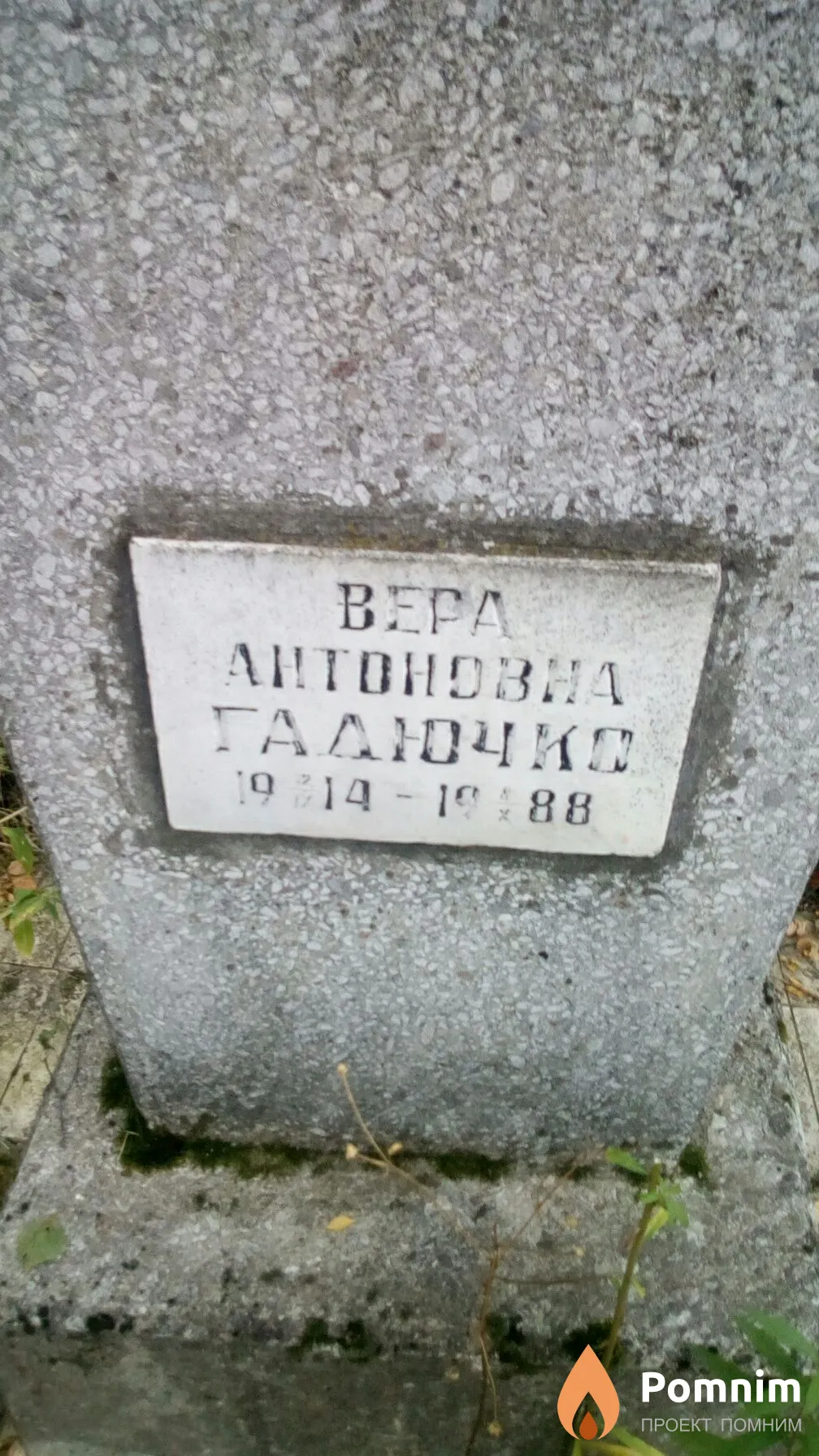 Гадючко Николай Алексеевич