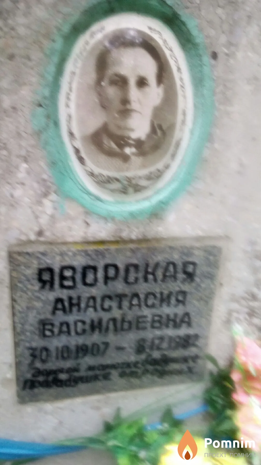Яворская Анастасия Васильевна
