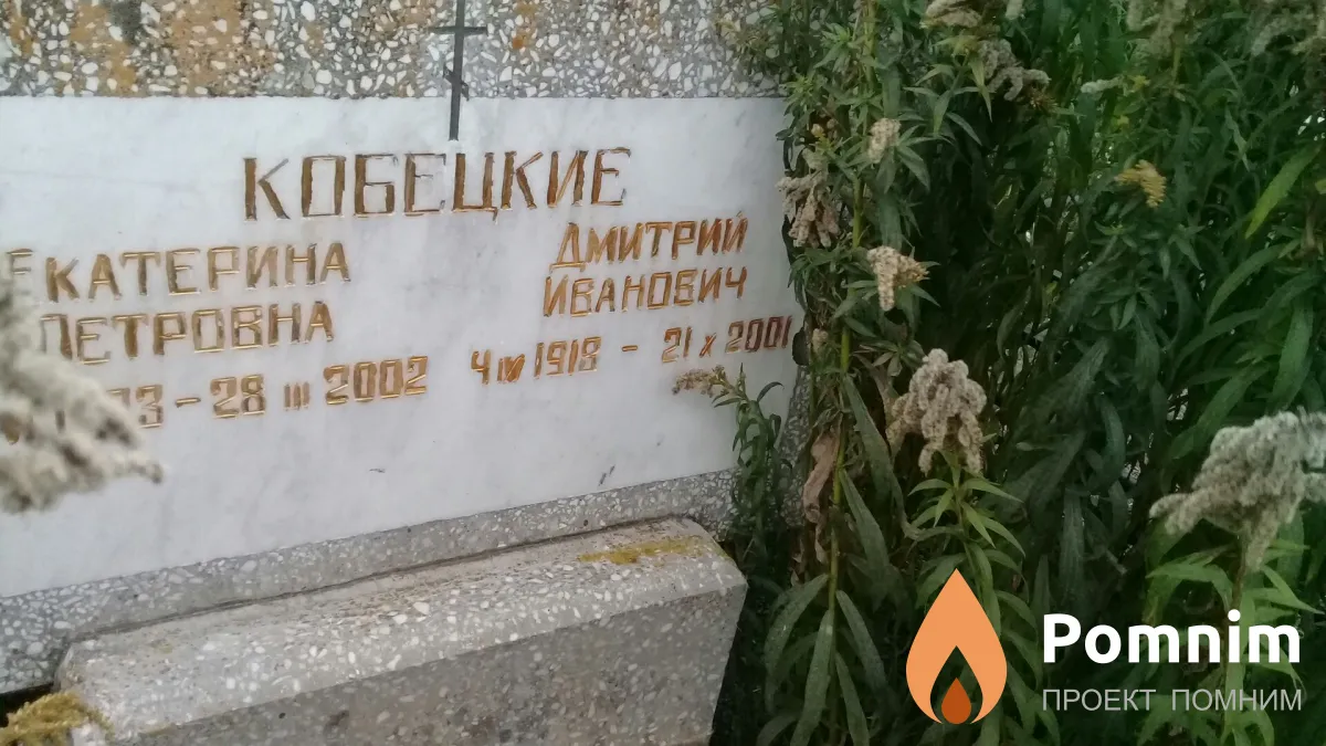 Кобецкий Дмитрий Иванович