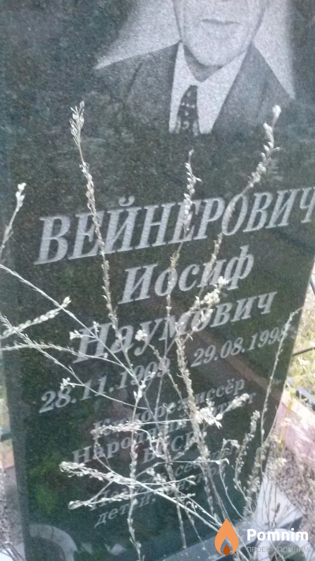 Вейнерович Иосиф Наумович