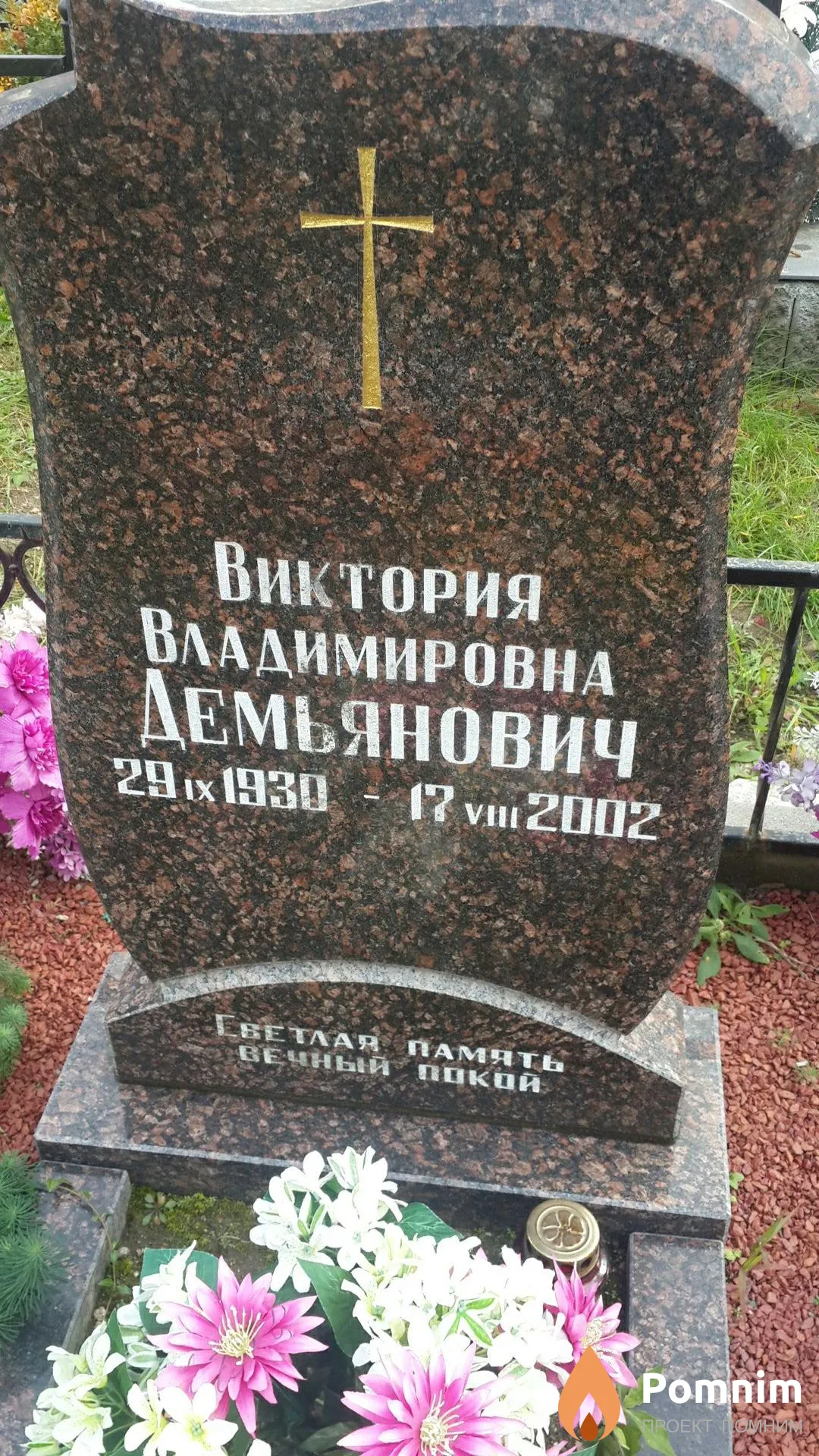 Демьянович Виктория Владимировна