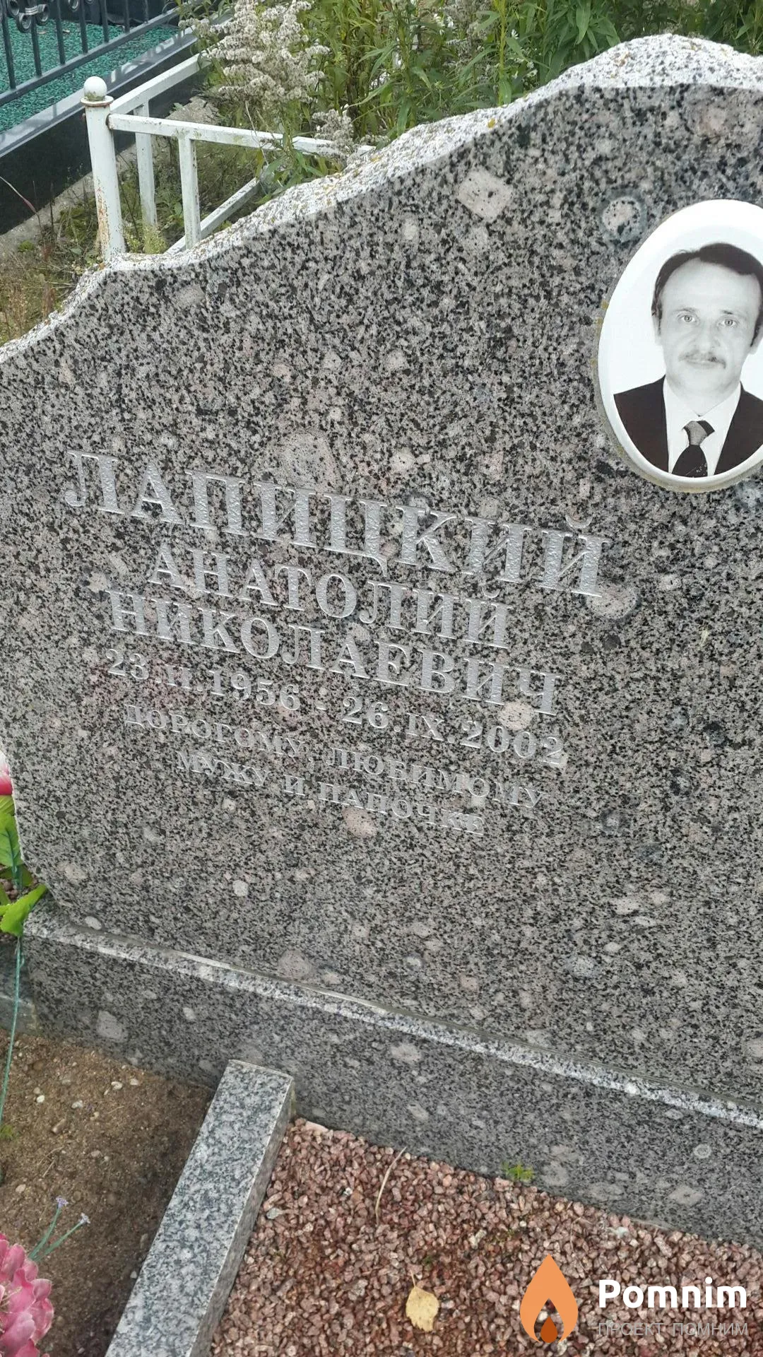Лапицкий Анатолий Николаевич