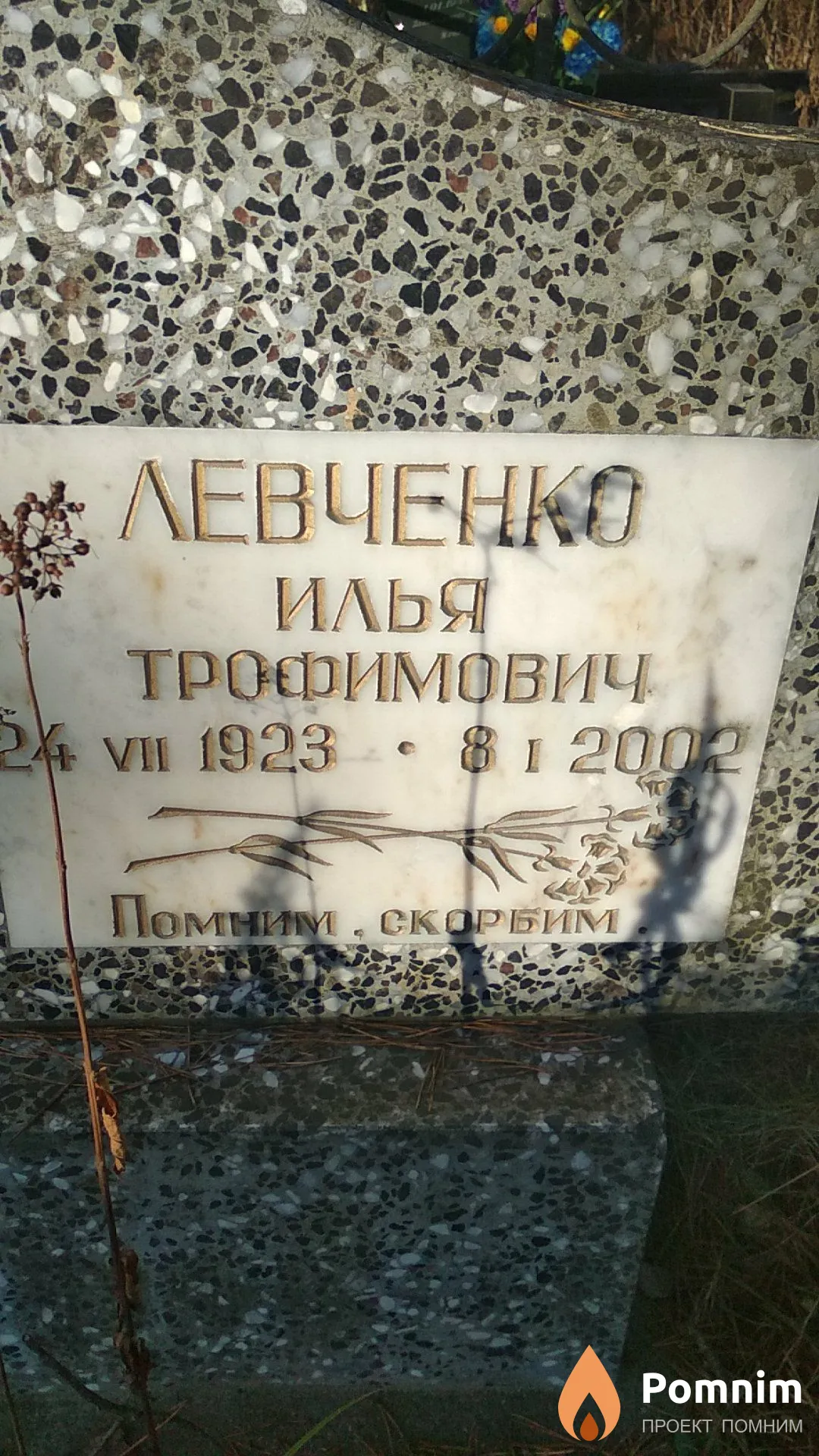 Левченко Полина Петровна