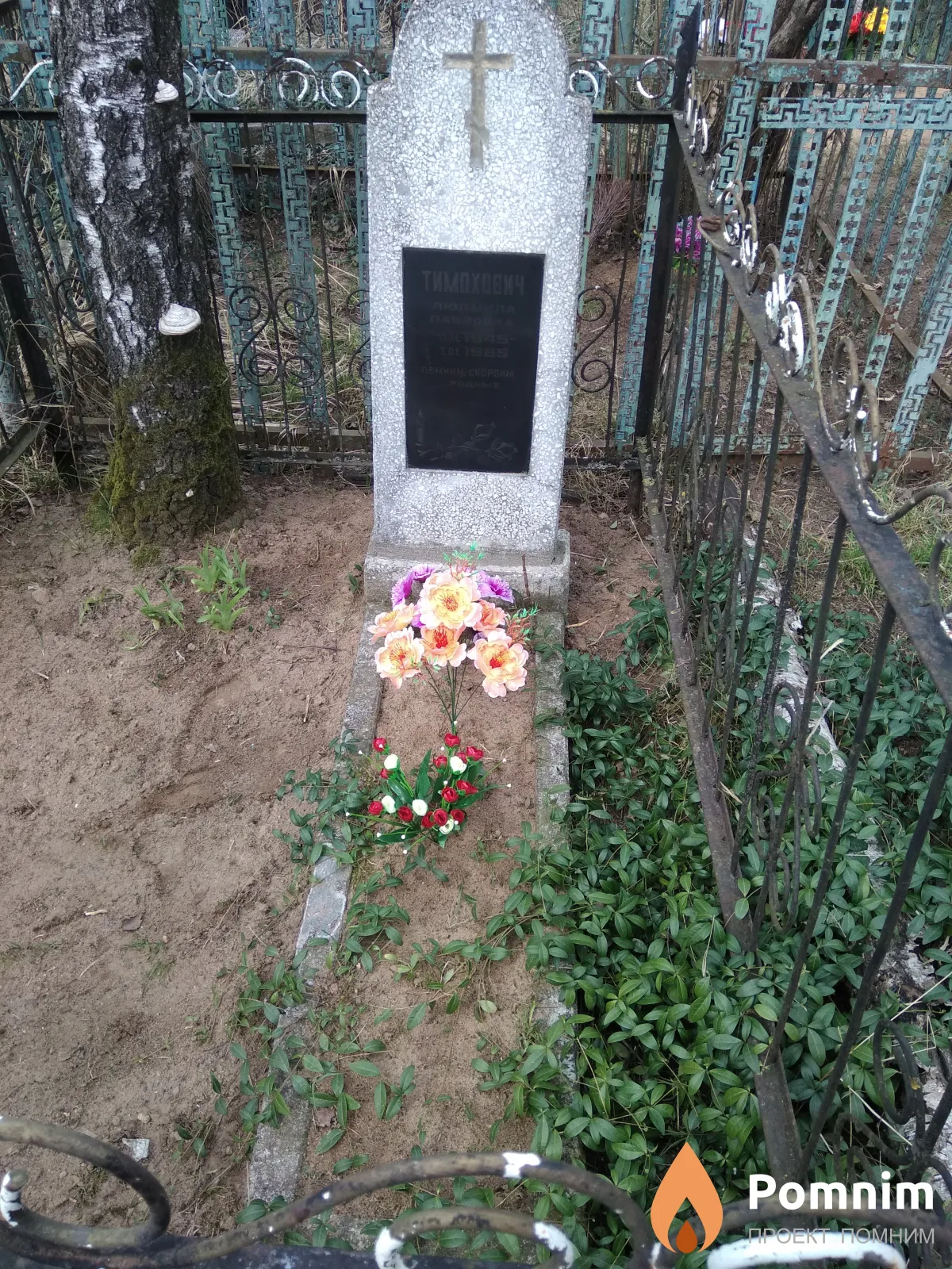 Тимохович Людмила Павловна