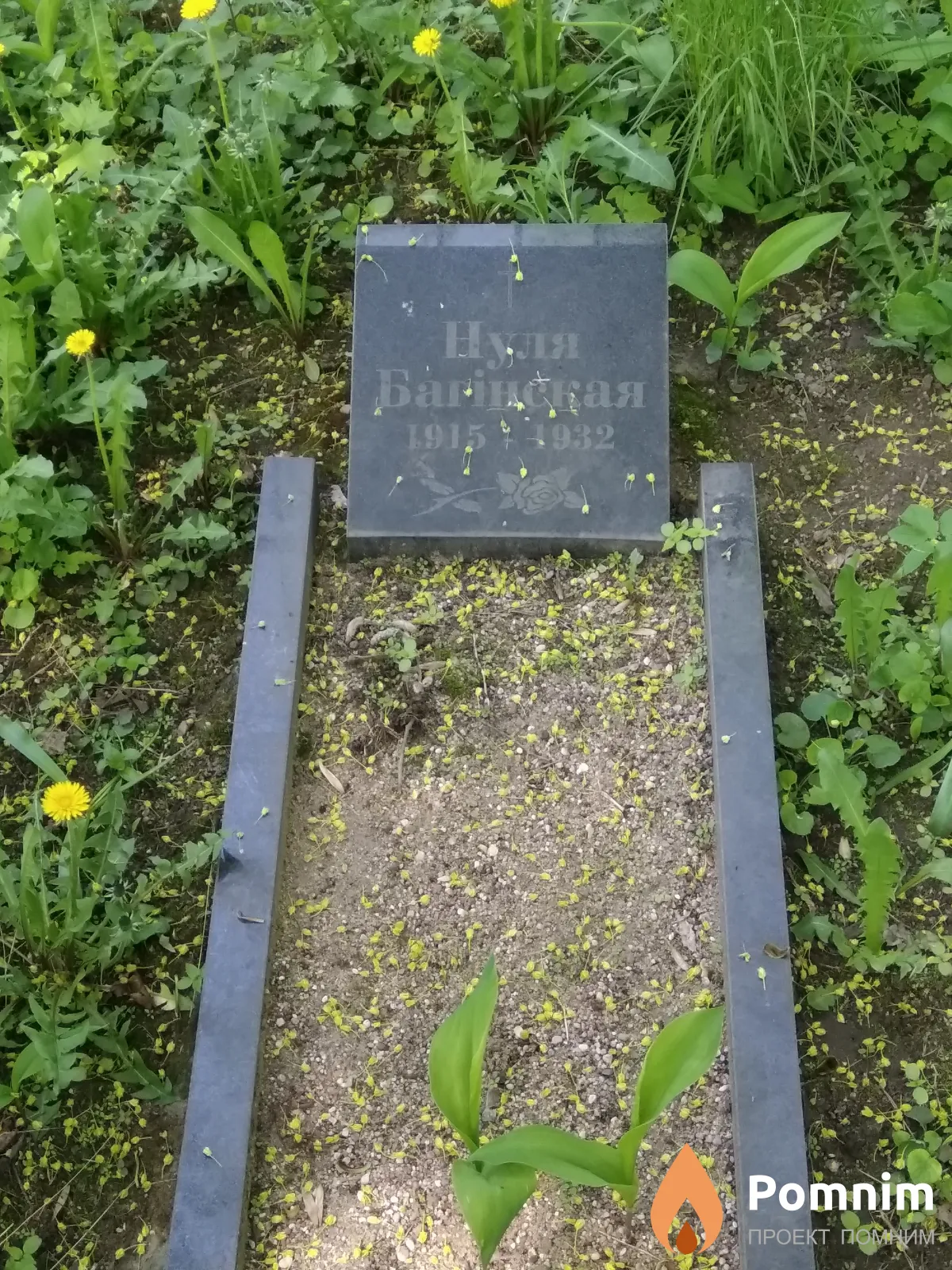 Багинская Эмилия Павловна