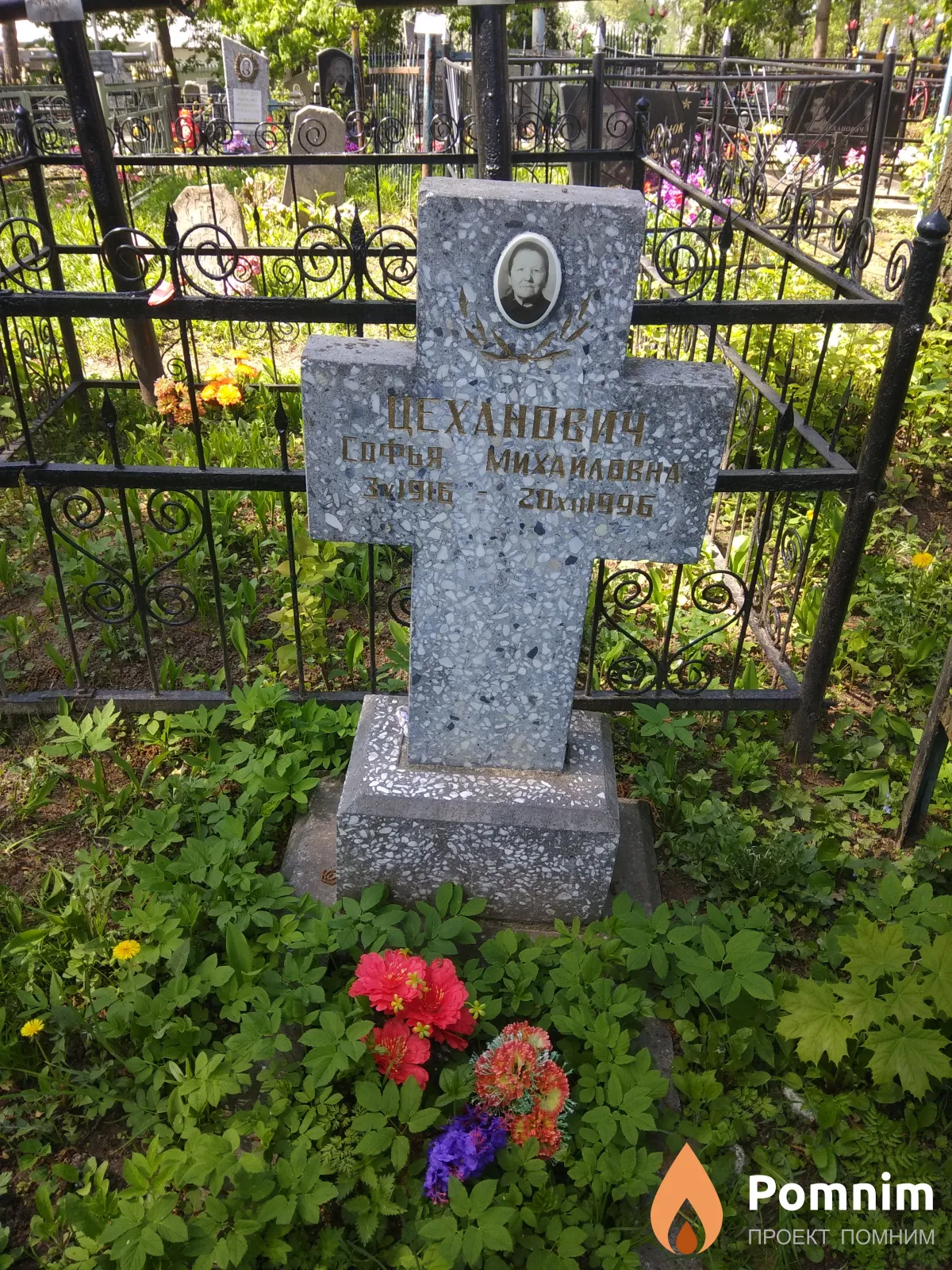 Цеханович Софья Михайловна