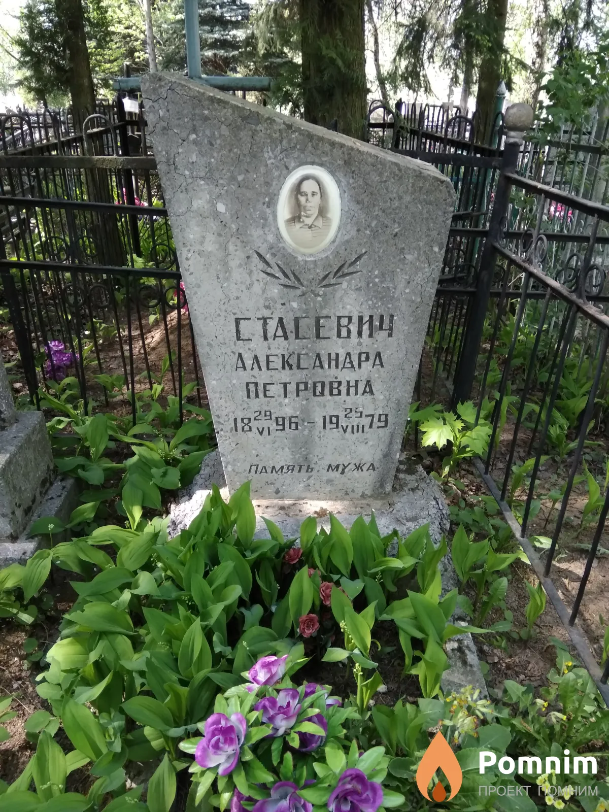 Стасевич Александра Петровна