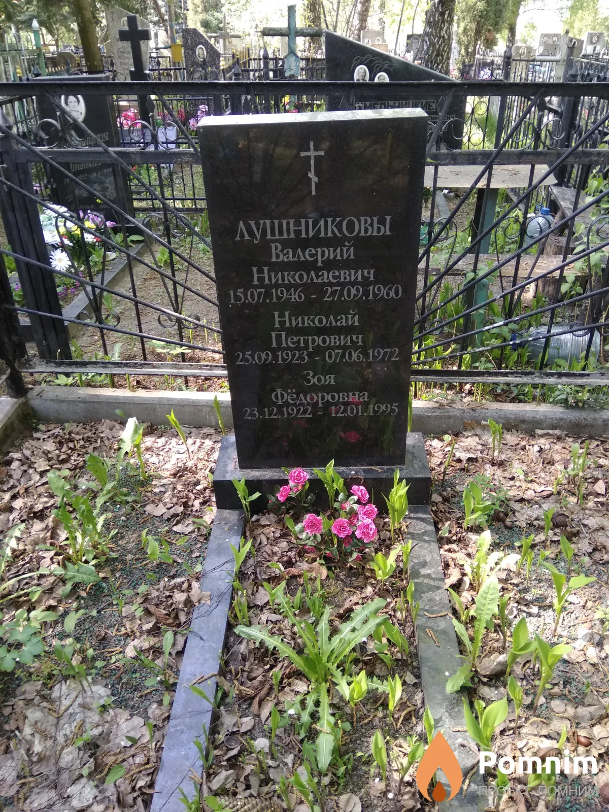 Лушникова Зоя Федоровна