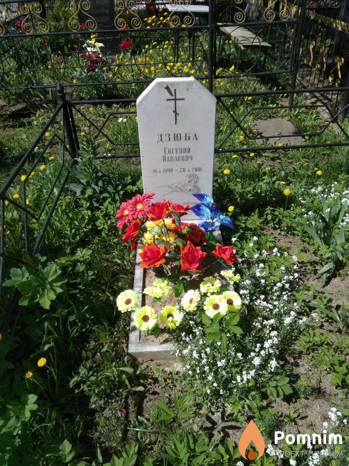 Дзюба Евгений Павлович