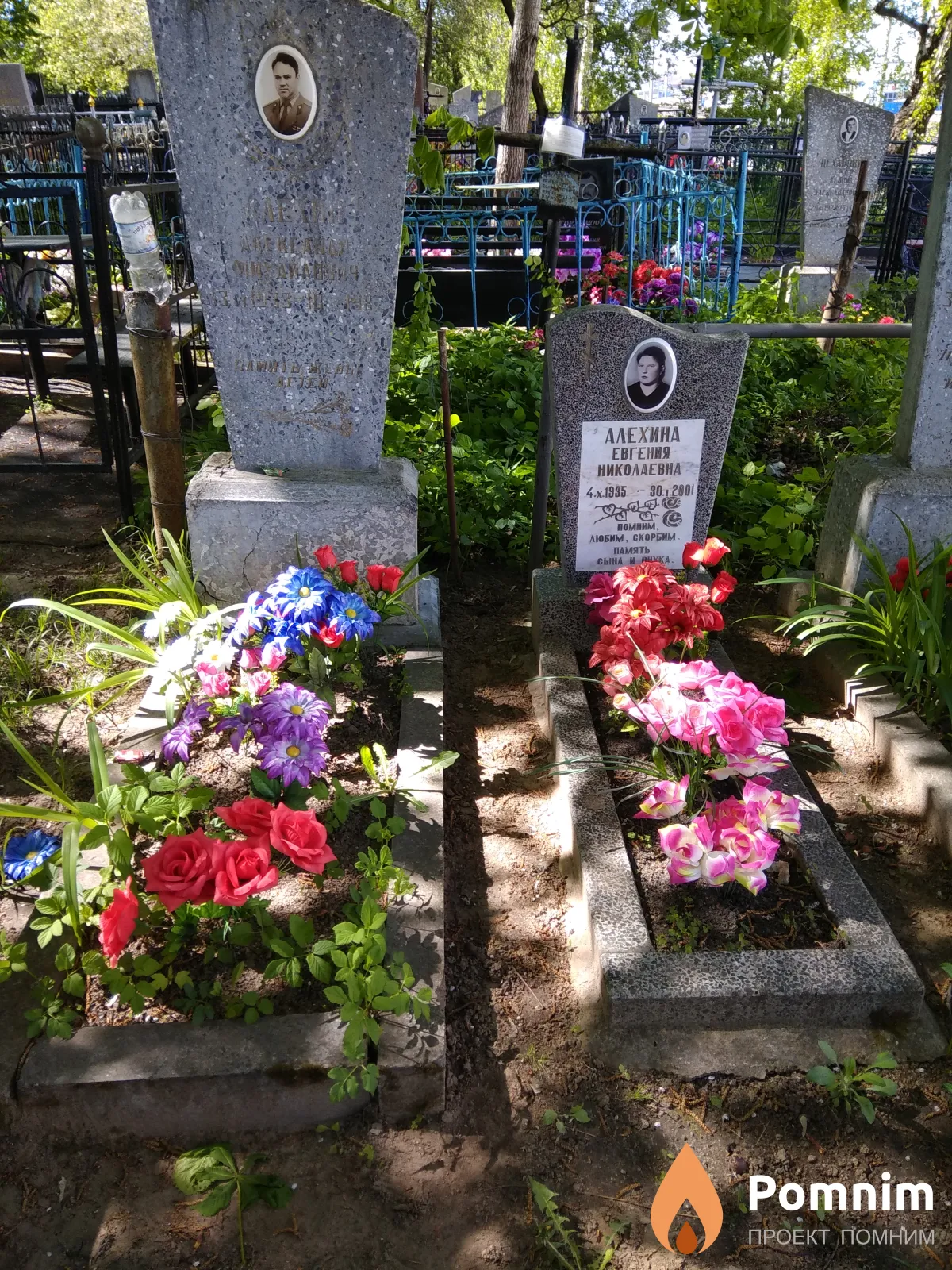 Алехина Евгения Николаевна