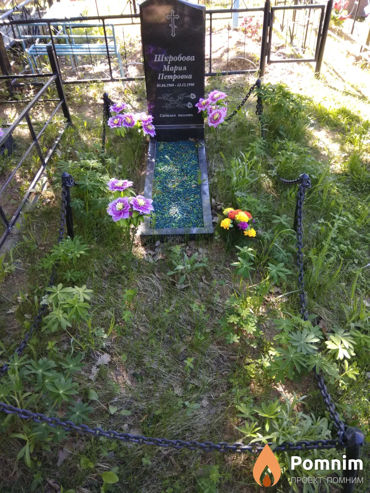 Шкробова Мария Петровна