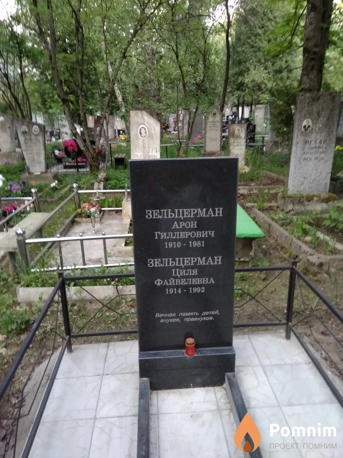 Зельцерман Циля Файвелевна