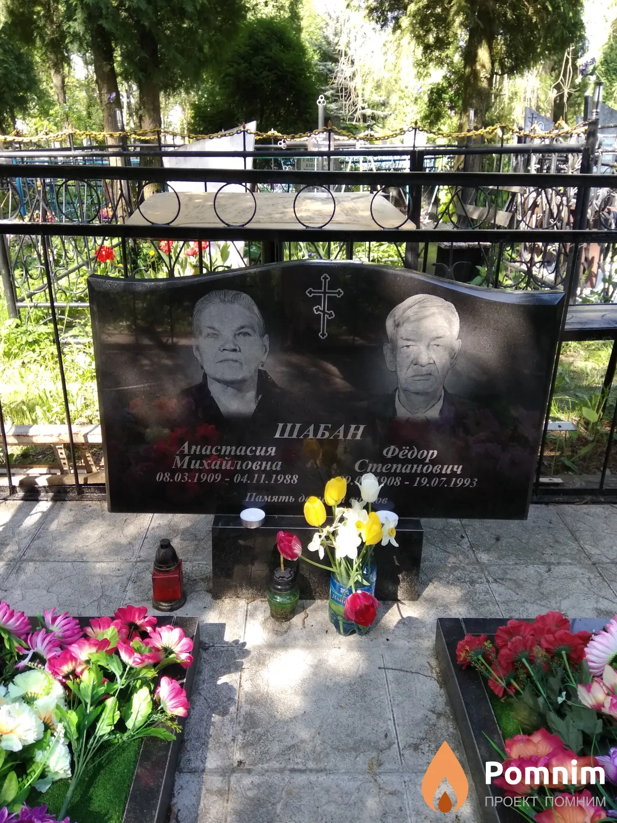 Шабан Анастасия Михайловна