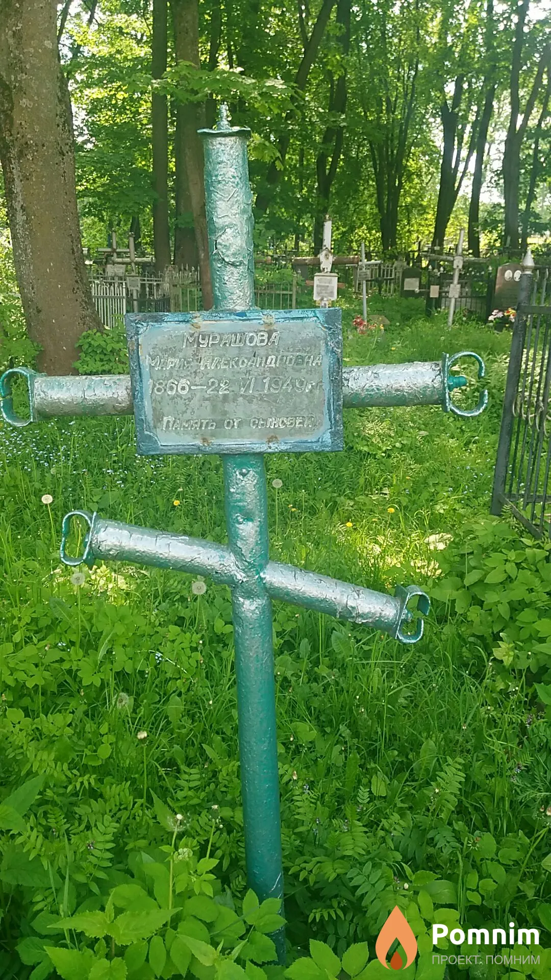 Мурашова Мария Александровна
