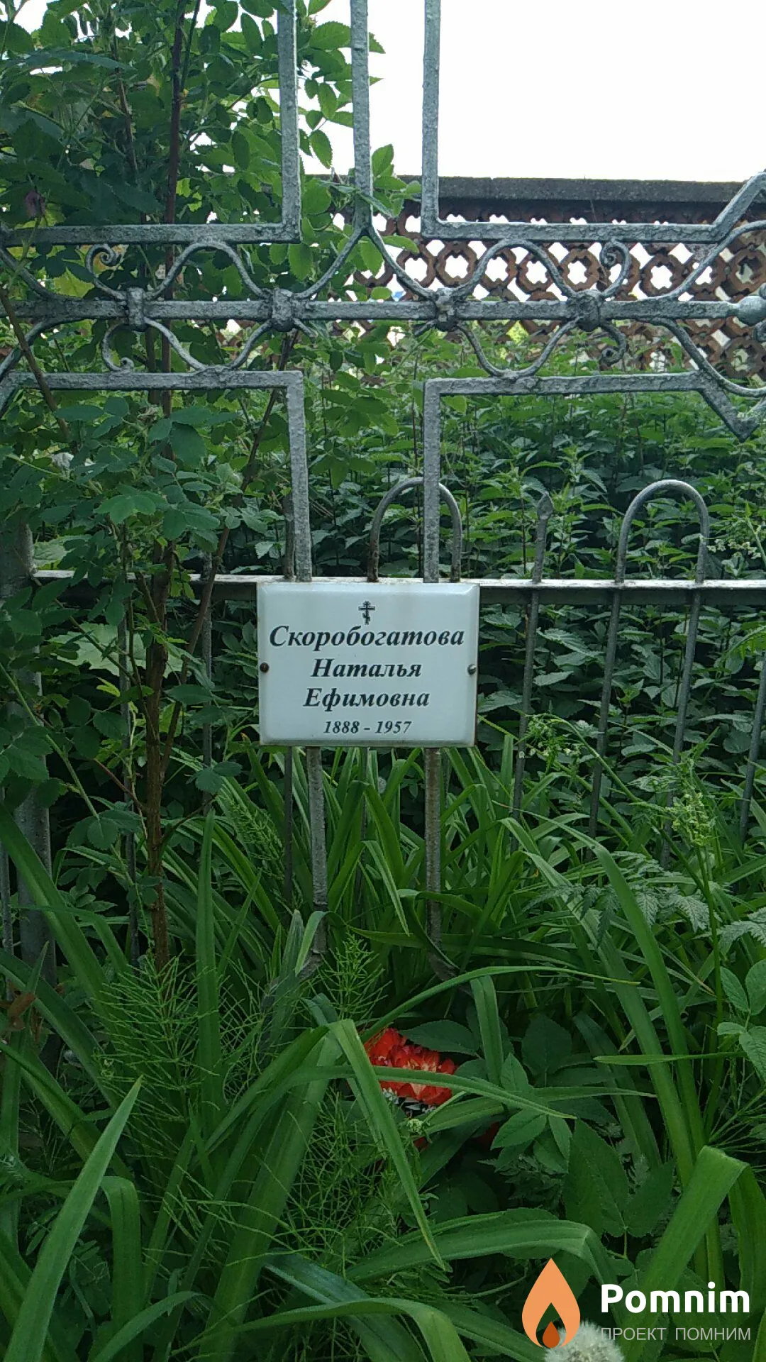 Скоробогатова Наталья Ефимовна