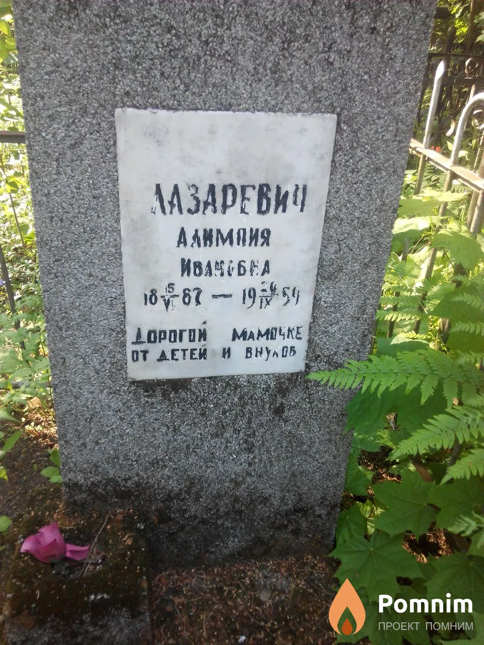 Лазаревич Алимпия Ивановна