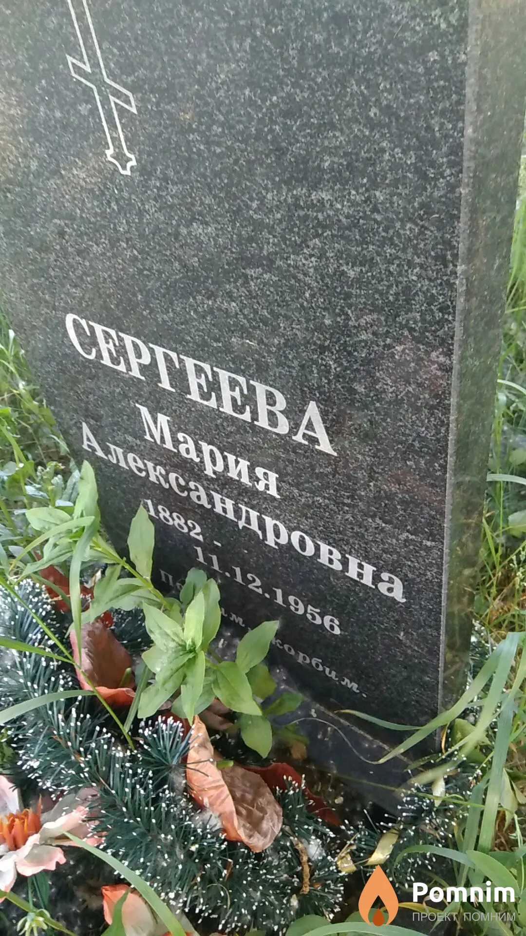 Сергеева Мария Александровна