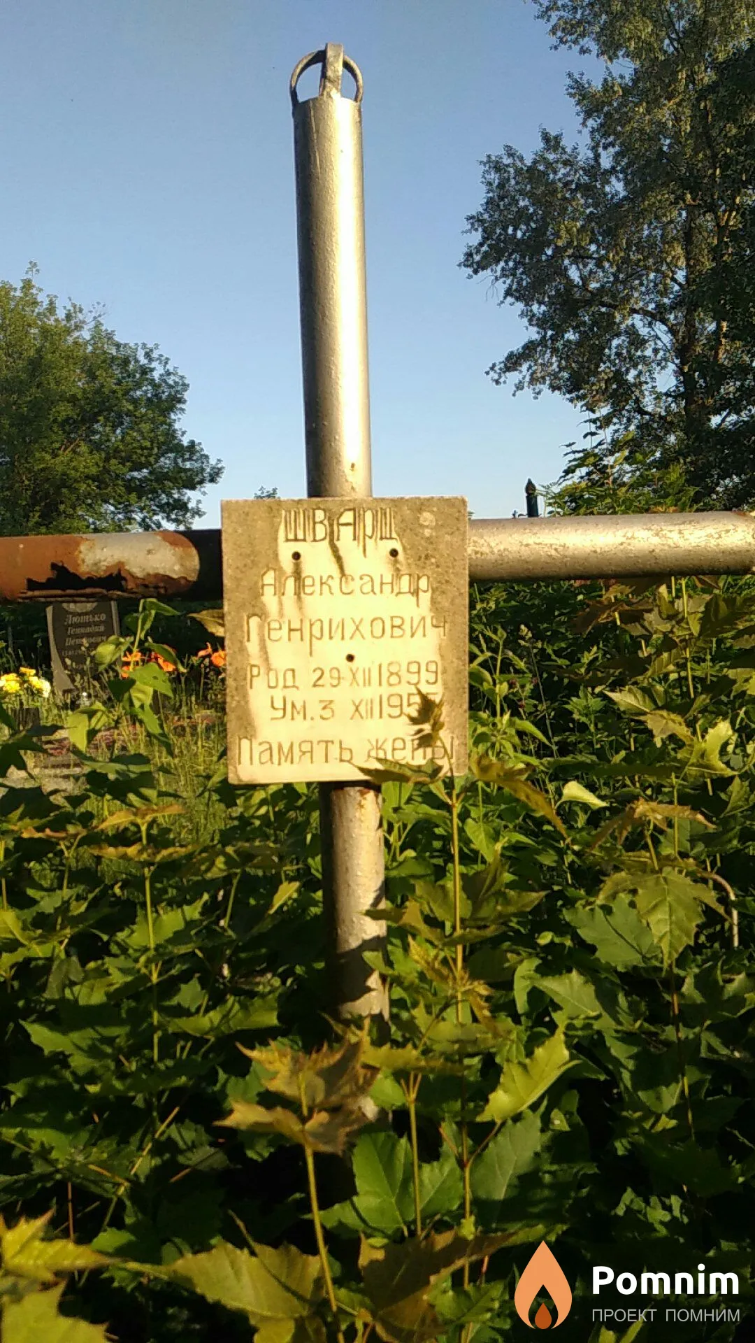 Шварц Александр Генрихович