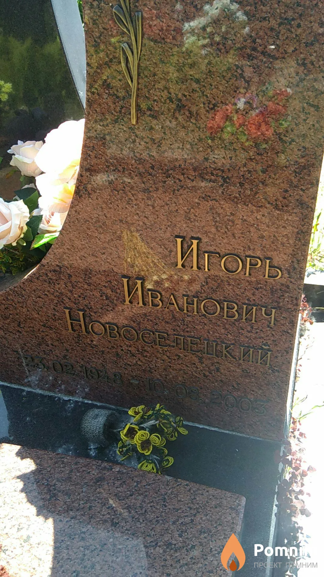 Новоселецкий Игорь Иванович