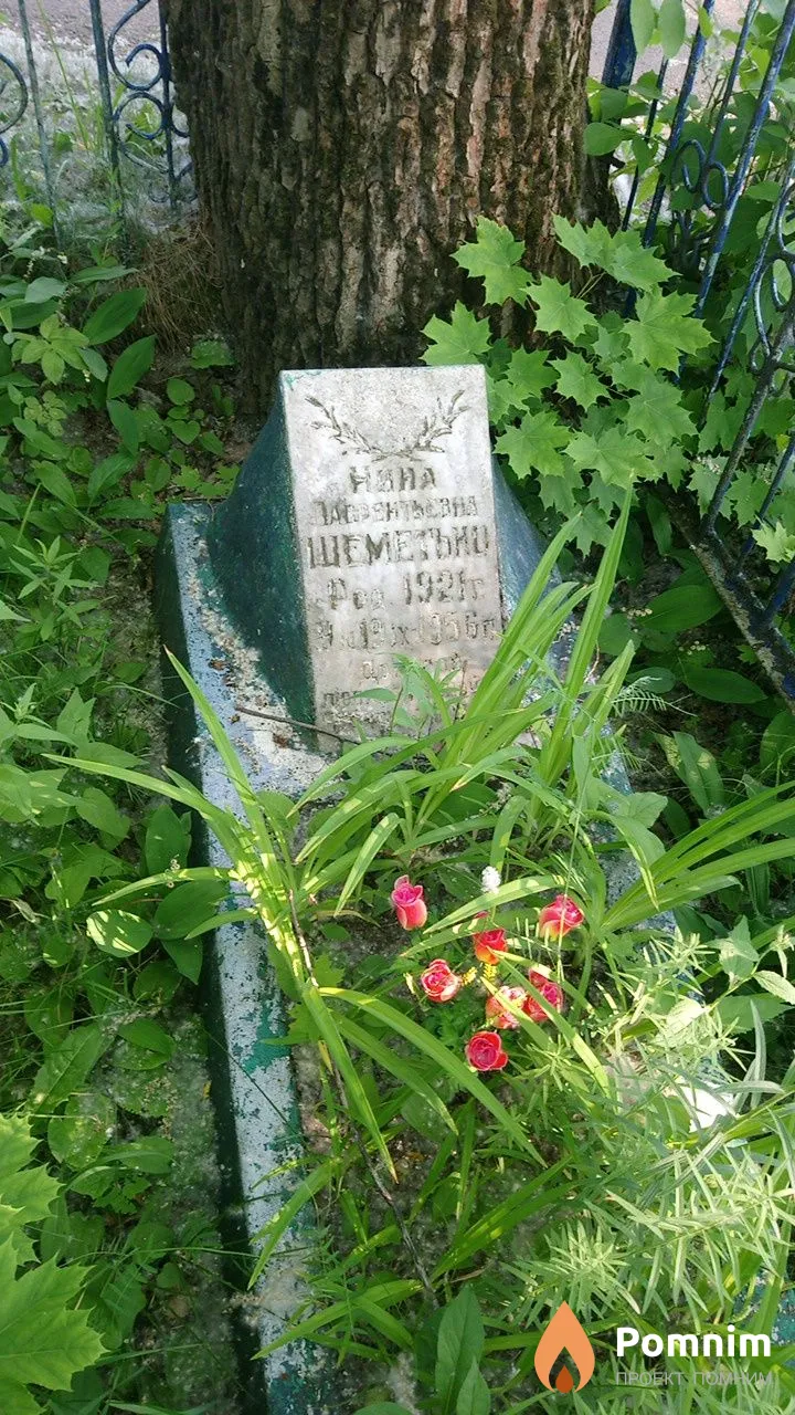 Нина Лаврентьевна Шеметько