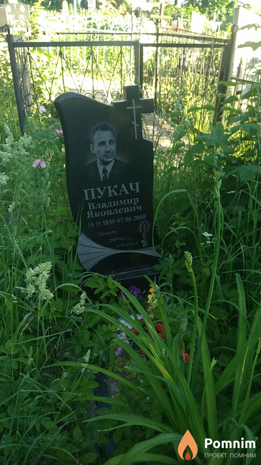 Пукач Владимир Яковлевич